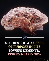 Read more about the article Study finds having a purpose in life may reduce dementia risk by nearly 30%