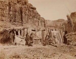 Read more about the article Havasupai: Trust, DNA, and a Broken Promise