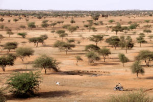 Read more about the article Between Armed Groups and Military Governments: Escalating Violence Against Civilians in Mali, Burkina Faso and Niger