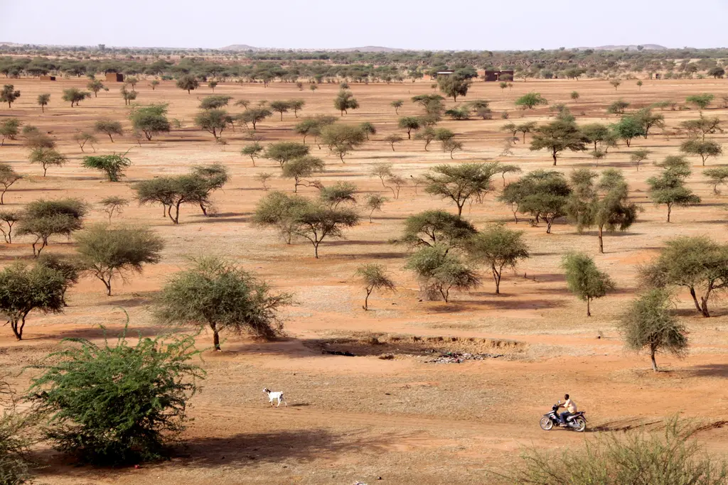 You are currently viewing Between Armed Groups and Military Governments: Escalating Violence Against Civilians in Mali, Burkina Faso and Niger