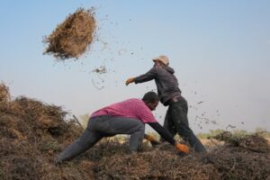 Read more about the article Young Africans find hope in farming as urban life becomes too expensive