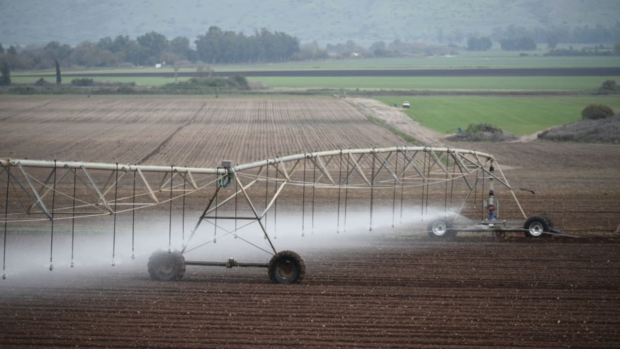 You are currently viewing Israeli scientists use AI to improve irrigation and spot plant stress early – study