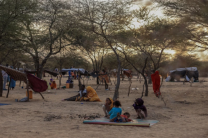 Read more about the article Girls and women fleeing Mali describe sexual violence by Russian forces