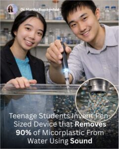 Read more about the article Two teenagers asked a question most scientists wouldn’t think to ask: what if sound could clean water?