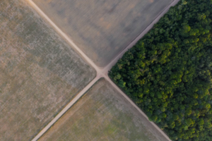 Read more about the article Brazil soy industry’s exit from moratorium on using Amazon land could spur deforestation