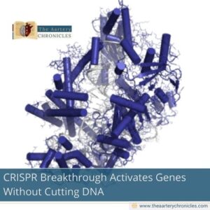 Read more about the article Breakthrough CRISPR method activates genes without cutting DNA