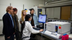 Read more about the article Scientists Develop Method to Enhance Immune System Response to Cancer