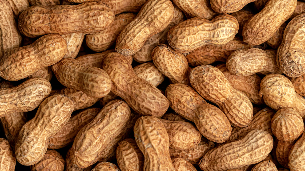 You are currently viewing Study Finds Decline in Peanut Allergies with Early Introduction