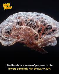Read more about the article Study finds having a purpose in life may reduce dementia risk by nearly 30%