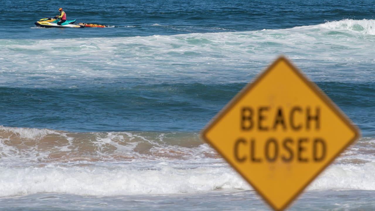 You are currently viewing Dozens of Australian east coast beaches closed after four shark attacks in two days