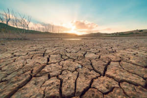 Read more about the article United Nations Declares That the World Has Entered an Era of ‘Global Water Bankruptcy’