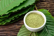 Read more about the article Kratom Poisoning Reports Are Surging