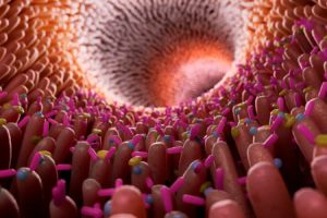 Read more about the article Group of gut bacteria may be important for overall health