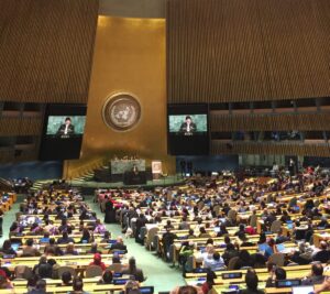 Read more about the article Indigenous Leaders Bring Amazon Crime Crisis to the UN