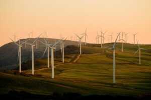 Read more about the article High-level Segment of the First Conference on Transitioning Away from Fossil Fuels