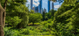 Read more about the article Earth Day: Abundance for Climate