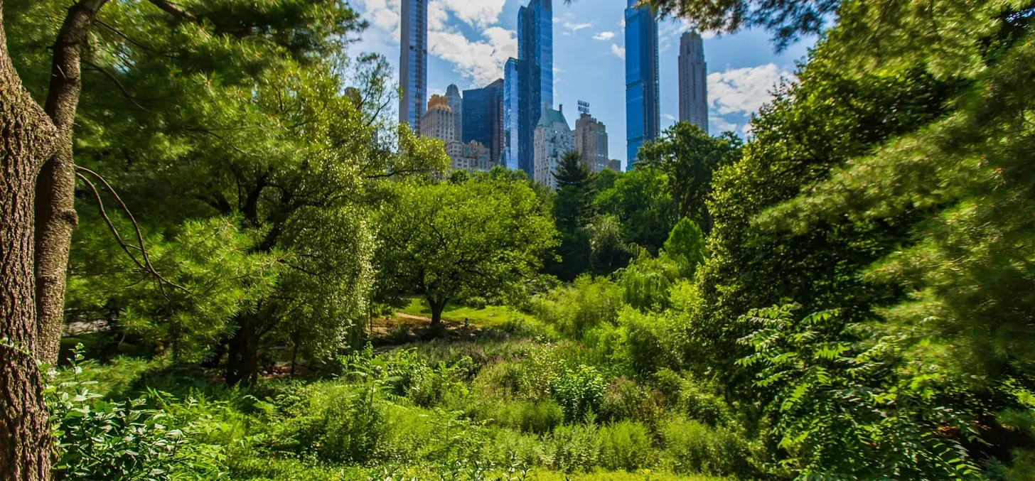 You are currently viewing Earth Day: Abundance for Climate