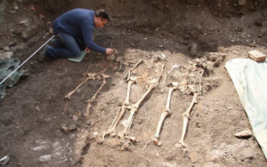 Read more about the article New secrets of human evolution unlocked in study of ancient DNA from Europe and Near East