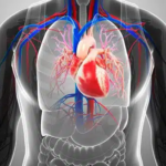 The Daily Habit That’s as Bad as Smoking for Your Heart!