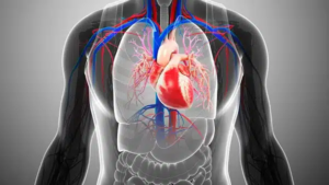 Read more about the article The Daily Habit That’s as Bad as Smoking for Your Heart!
