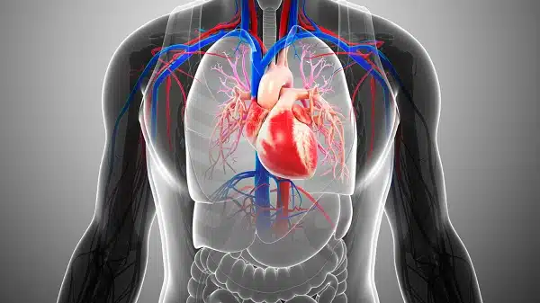 You are currently viewing The Daily Habit That’s as Bad as Smoking for Your Heart!