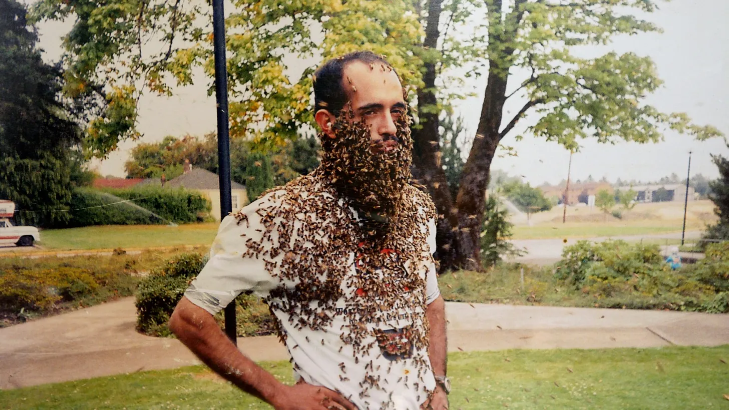 You are currently viewing World Bee Day Streaming Suggestions