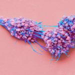 Ovarian cancer drug may extend life and improve quality of life