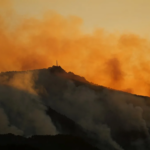 European data record over 10,000 excess deaths during record-breaking heatwave
