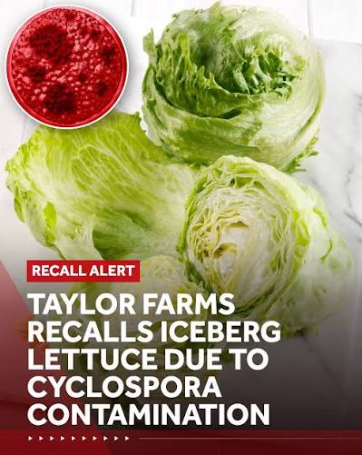 You are currently viewing Taylor Farms recalls iceberg lettuce in 27 states over cyclosporiasis outbreak