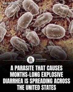 Read more about the article CDC says diarrhea parasite is spreading across 17 states