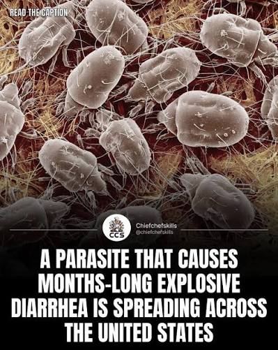 You are currently viewing CDC says diarrhea parasite is spreading across 17 states