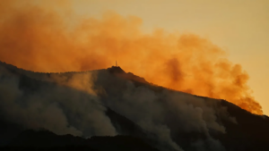 Read more about the article European data record over 10,000 excess deaths during record-breaking heatwave
