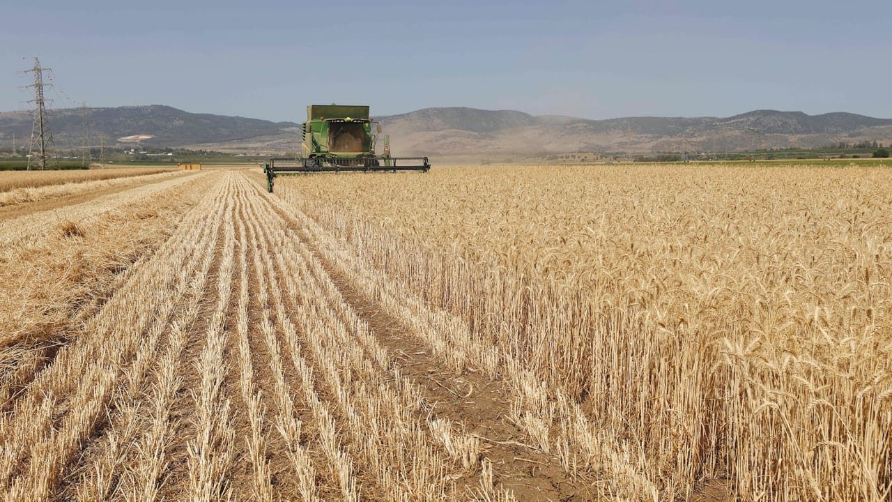 You are currently viewing Tire particles may contaminate crops and enter food chain, Israeli study finds