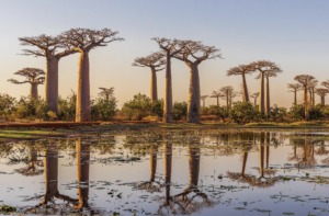 Read more about the article CBD Seeks to Turn GBF’s Global Review into Catalyst of Accelerated Action