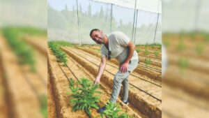 Read more about the article Israeli scientists make plants produce milk protein, paving way for cow-free dairy