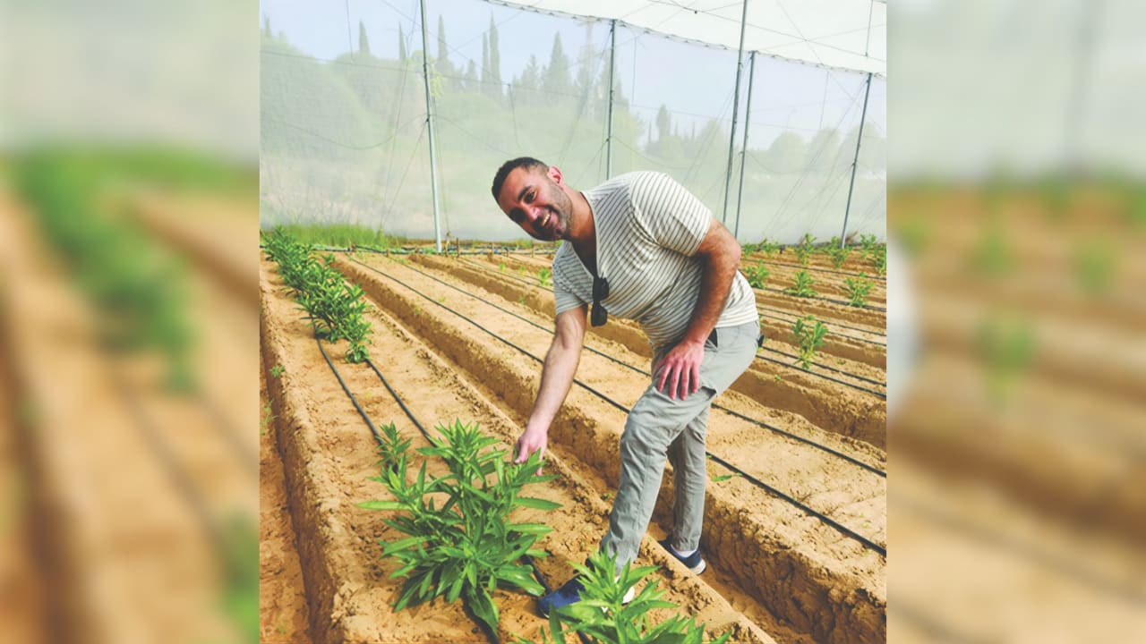 You are currently viewing Israeli scientists make plants produce milk protein, paving way for cow-free dairy