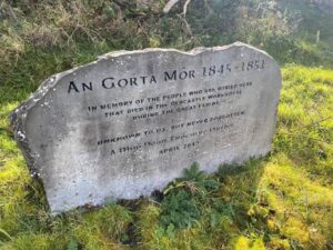 Read more about the article The Famine’s Lessons: How Disease Stayed With Irish Americans for Generations—and Why It Still Matters