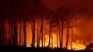Read more about the article Climate change made ‘fire-prone’ weather conditions more likely in Spain and France, scientists say