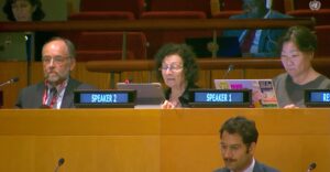 Read more about the article Dr. Yael Danieli at the United Nations | Victim Assistance & Environmental Remediation (2026)