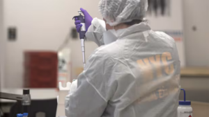 Read more about the article New York lab uses genetic genealogy to identify 9/11 victims’ remains