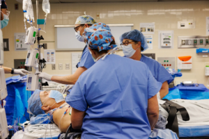 Read more about the article Transplanted pig kidney continues working after nine months in patient